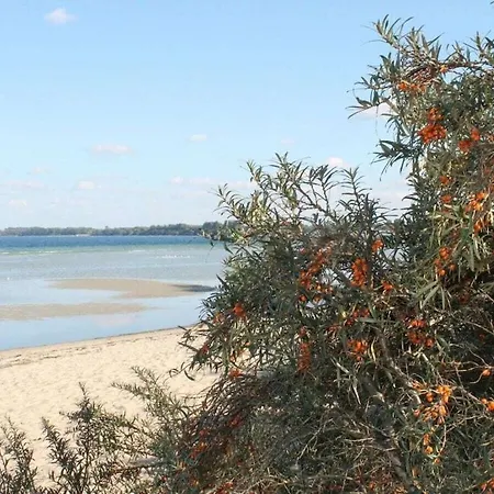 Idyllic On The Baltic Sea Coast Damshagen